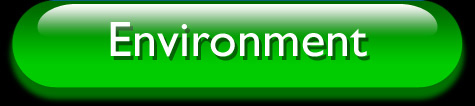 ISO Management Systems Implementation by BonTrack Solutions - ISO 14001 Environmental Management Systems - ISO 14001 Environmental Management